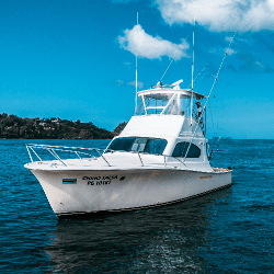 White 37 feet Ocean Billfish sportfishing boat floats on calm blue water of Playa Flamingo beneath a bright sky.