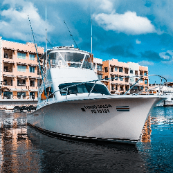 Chino Salsa's 37 feet charter boat sitting docked in calm marina water at Marina Flamingo, preparing for Costa Rica Sunset Tour